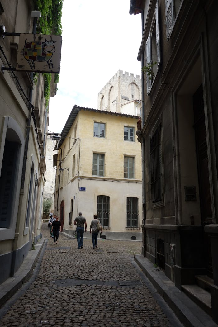 Cobblestone street in a European city with classic buildings and a cathedral.
